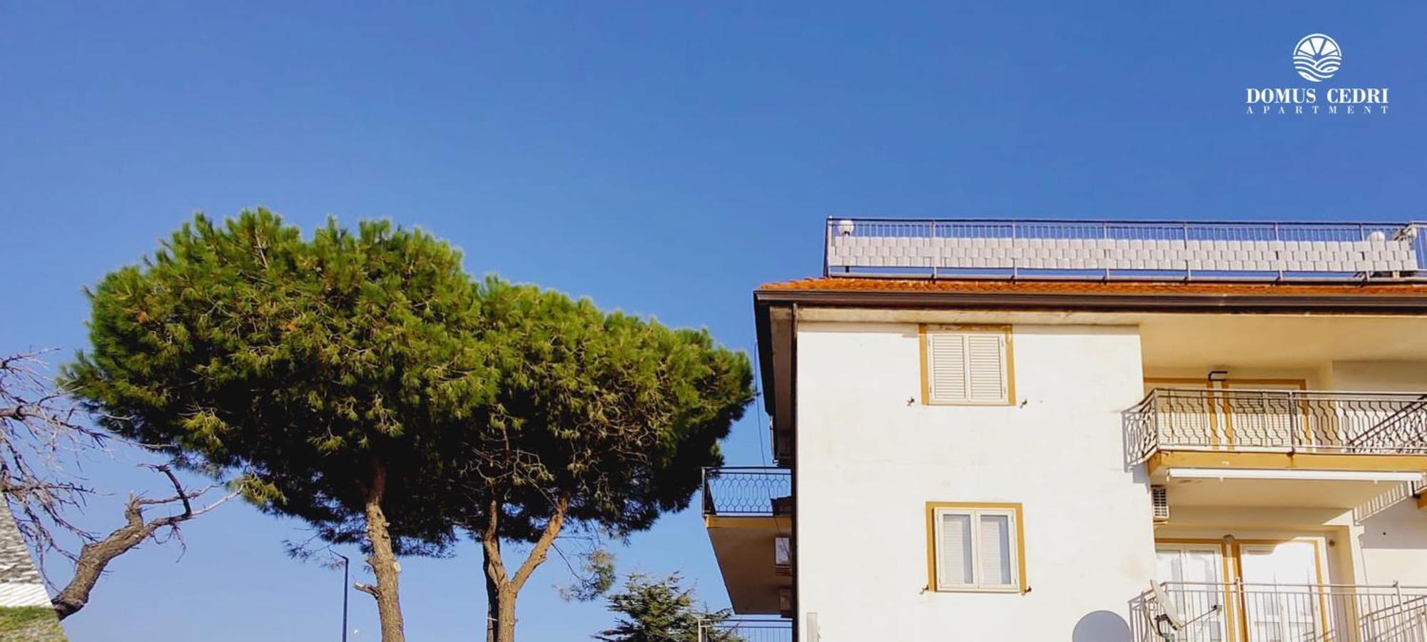 Domus Cedri Apartment Santa Maria Del Cedro Exteriör bild